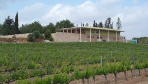 Celler Mas dels Frares – URV